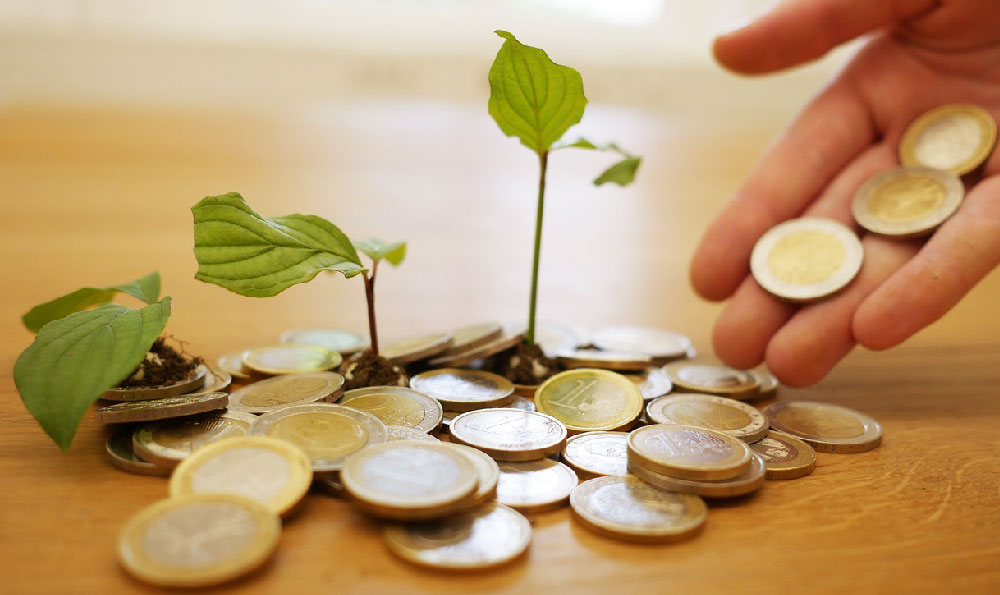 Insurance Agent Earnings: Average Salary and Income Guide
