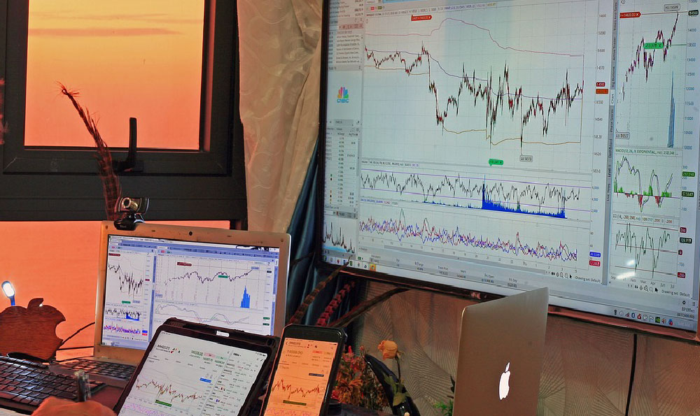 Investing in Stocks: Will You Profit and How?
